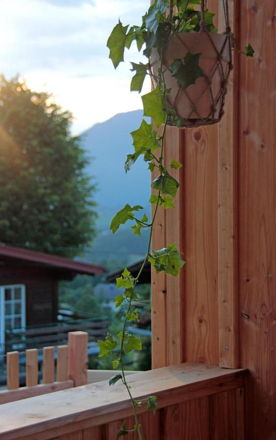 Haus Am Salz Mit Sauna Bad Ischl Εξωτερικό φωτογραφία